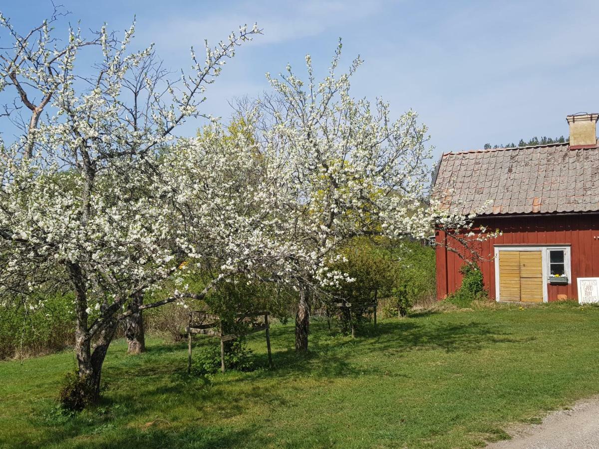 Gasthaus Skoelvs Gard Glanshammar Exterior foto